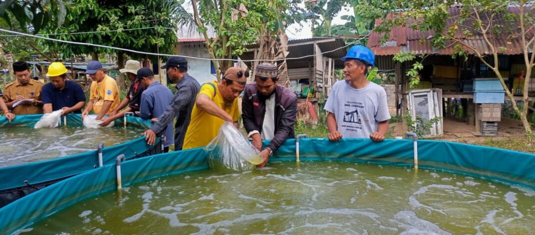 Diskan Batam Bangun Ratusan Bioflok, Budidaya Ikan Kian Modern