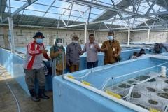 Monitoring-hatchery-udang-di-Tanjung-Cakang