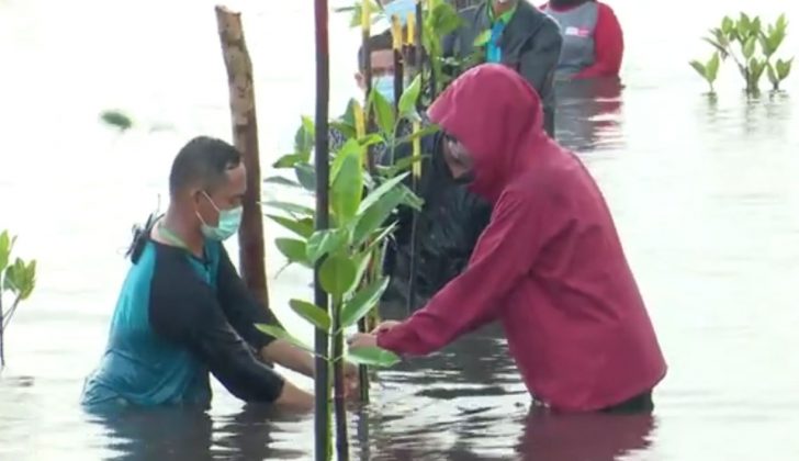 Penyuluh-perikanan-Batam-yang-juga-penggiat-pelestarian-mangrove-melakukan-penanaman-mangrove-bersama-Presiden-RI-Joko-Widodo-di-Pulau-Setokok