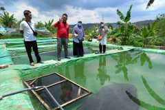 Kunjungan-ke-pembudidaya-ikan