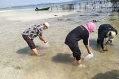 Restocking-Ikan-Hias-Clown-Fish-di-Pulau-Mubut-Darat-Bersama-BPBBL-Batam