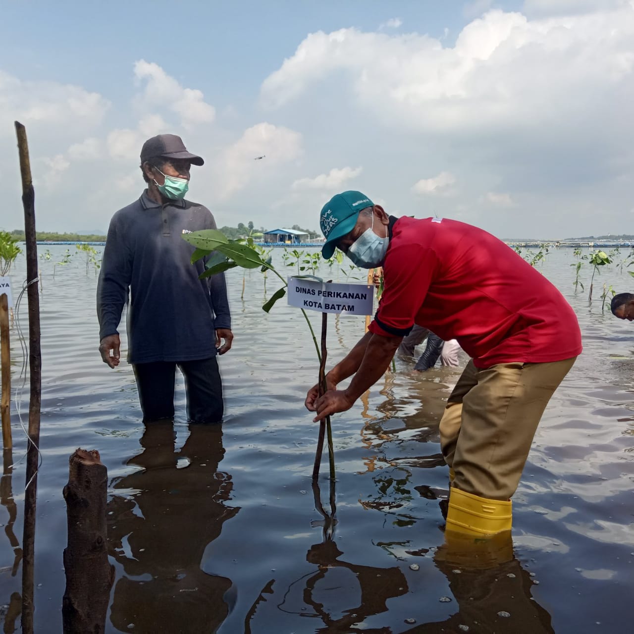 Penanaman-Mangrove-dalam-rangka-peringatan-HUT-KKP-ke-22