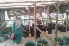 1_Memeriksa-kesiapan-lokasi-UPR-untuk-sertifikasi-CPIB-di-Batuaji