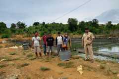 1_Meninjau-kolam-ikan-air-tawar-di-Sembulang-Hulu