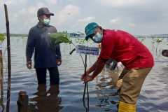 Penanaman-Mangrove-dalam-rangka-peringatan-HUT-KKP-ke-22