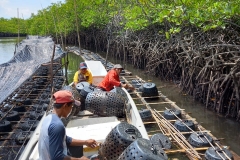 Panen perdana budidaya kepiting bakau oleh Pokdakan Sejahtera Bersama di Kampung Bagan, Kel. Tanjung Piayu Kec. Sei Beduk.