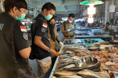 Bersama tim SKIPM Batam, BPOM Batam, PDSKP Batam, dan Disperindag Kota Batam melaksanakan monitoring pengawasan mutu hasil perikanan (Inpres 01) di Pasar Fanindo Kec. Batuaji dan Pasar Botania Kec. Batam Kota.